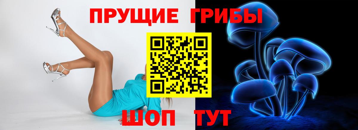 Галлюциногенные грибы MAGIC MUSHROOMS  Вход с VPN  Петропавловск-Камчатский 